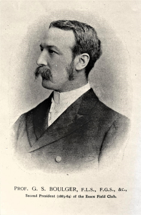 Professor G S Boulger EFC President 1883 1884 Copyright: William George