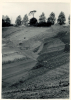 Aveley Mammoth Excavation 1964 3 