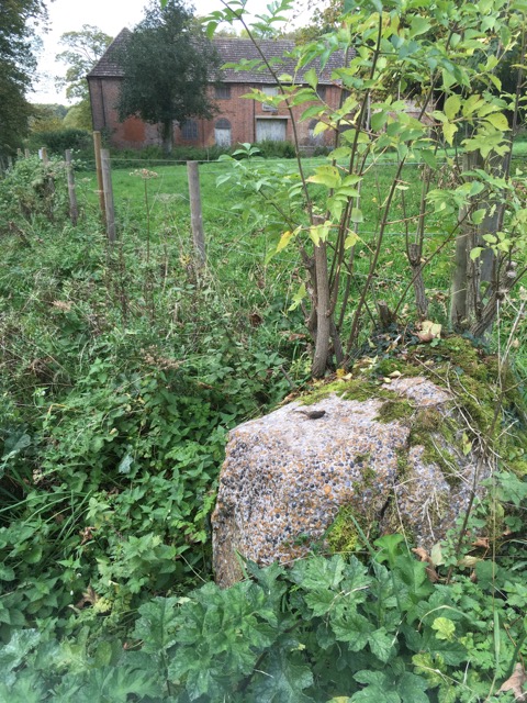 Debden Puddingstone Copyright: Gerald Lucy