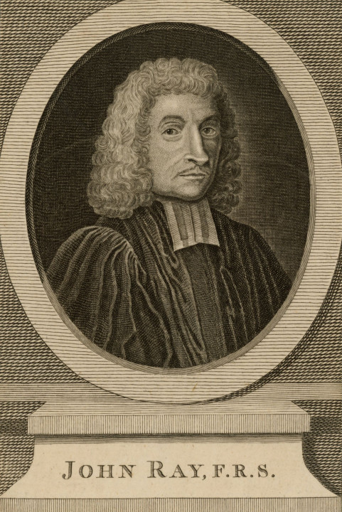 John Ray 1626-1707 1 Copyright: William George