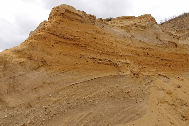 Cross bedding in the Chillesford Sands at Elsenham Quarry Copyright: Gerald Lucy