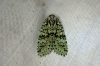 Merveille du jour 2 