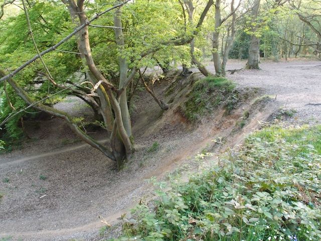 Edge of one of the disused gravel pits at Danbury Common Copyright: Gerald Lucy