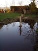 The new pond.... 
