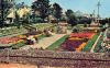 Clacton on Sea Sunken Garden Post Card