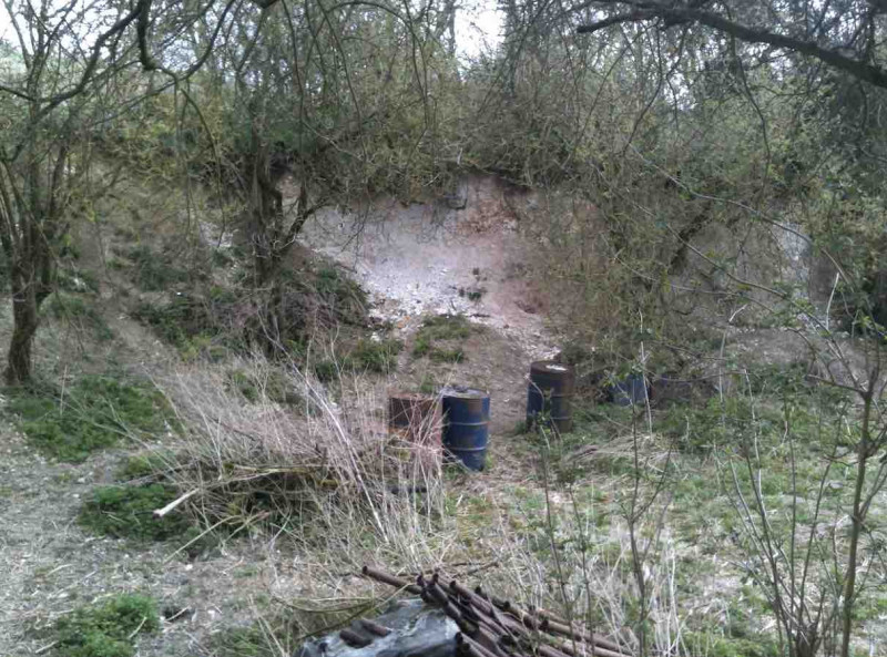 Crave Hall Farm Chalk Pit 2 (April 2013) Copyright: 