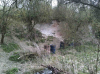 Crave Hall Farm Chalk Pit 2 (April 2013) 