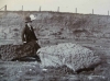 Geologists Association field trip to Grays Chalk Pit in 1910