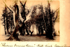 Epping Forest Queens Drawing Room High Beech