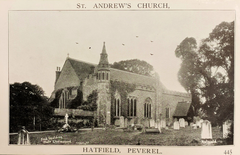 Hatfield Peverel St Andrews Church Copyright: William George