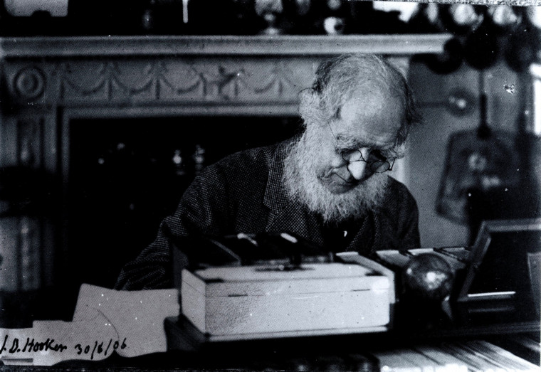 Joseph Dalton Hooker 1817 to 1911 Botanist Portrait Elderly Copyright: Photograph