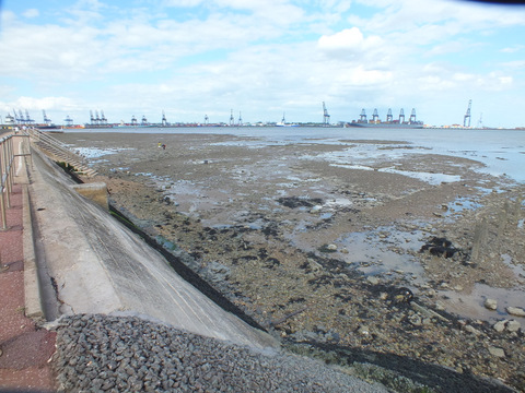 Harwich Shore Copyright: Peter Pearson