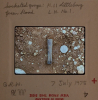 Littlebury Late Bronze Age Hoard M11 9 July 1978 slide 4 