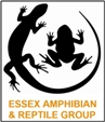 Essex Amphibian & Reptile Group