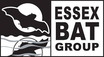Essex Bat Group