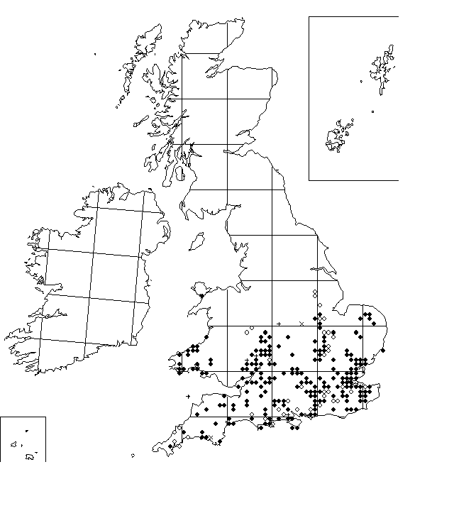 Misumena map